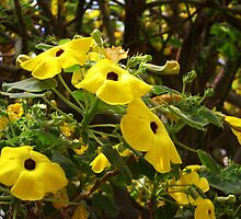 Yellow Flowers For Your Delight by Kharizma