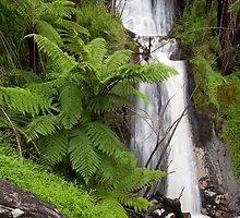 Verdant Falls by Travis Easton