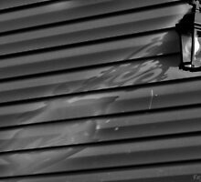 Light Engulfed By Shadow by Tekeja Smith