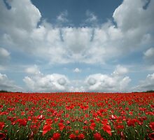 Nowhere Land III by Paul Tupman