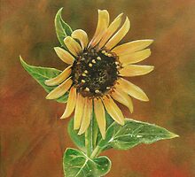 The Proven Light by Carrie Jackson