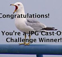 JPG Cast-Off Challenge Banner by Monnie Ryan