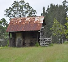 Paint job needed by Brandie1