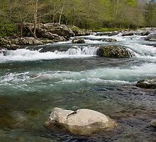 Middle Prong Little Pigeon River by Gary L Suddath