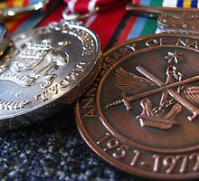Blueys Medals by Sandy Sutton