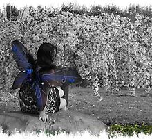 Fairy Wishes by DIANE KLEVECKA