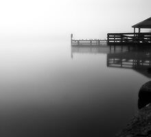 Foggy Night at Lilydale Lake #2 by Jason Green