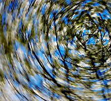In a Spin by DExPIX