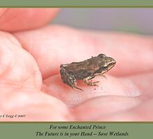 Some Enchanted Prince His Future is in Your Hand—Save Wetlands B by pogomcl