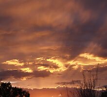 Don't Blink, you'll miss it! by Cathy Gilday