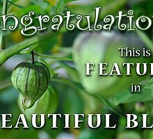 Beautiful Blur Feature Banner by Susana Weber