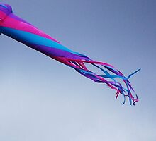 Flying In The Wind by Jonice