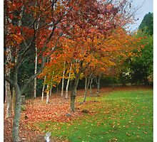 Autumn Rememberance by George Petrovsky
