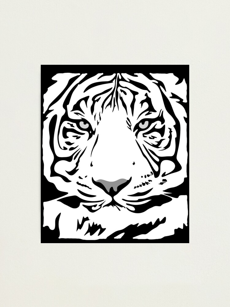 Lámina fotográfica Diseño de la cara del tigre blanco para los amantes