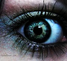 Stories Untold. by TwistedHearts