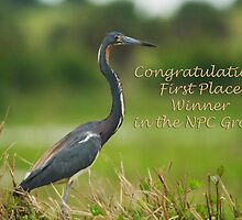 Nature Photography Challenge Group Banner by Karen Moore