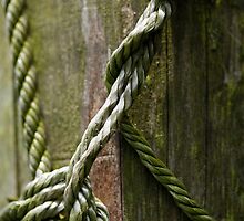 Tied by Annalisa Bruno