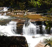 Shady spot on the Elk River by Edward Burton