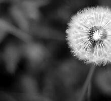 hold your breathe by imagesmatter