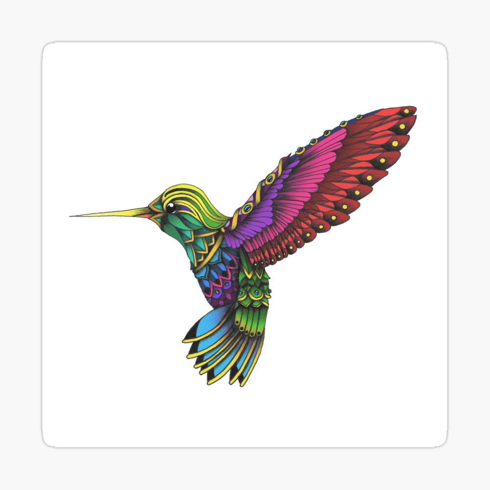 Introducir 85 Imagen Colibri De Colores Viaterra Mx