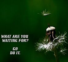 What are you waiting for.....Motivational Poster by GlennB