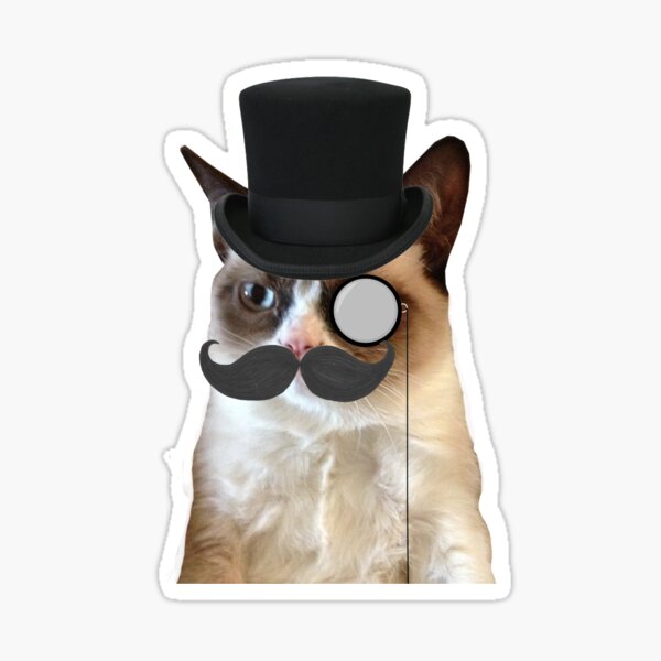 Grumpy Cat Stickers Redbubble