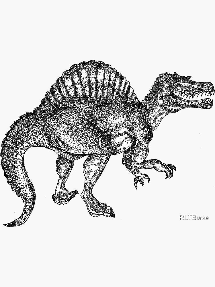 Spinosaurus Sticker For Sale By RLTBurke Redbubble