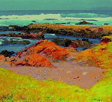 Mendocino Coast # 14, California (A Nod To Gauguin) by Ascender Photography