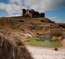 Castle Blur by Sylvia Slavin