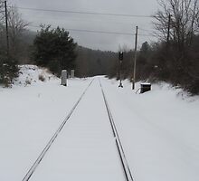Snow on Tracks by jnifr