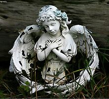 little angel by wolf6249107