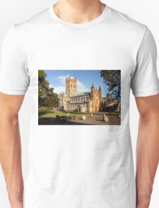 buckfast t shirts for sale