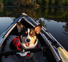 Welcome Aboard! by William C. Gladish