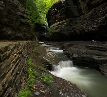 Mother Nature by Jeff Palm Photography