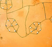 “Weapons Of Mass Destruction – The Bunkers Of Al Qa Qaa” Quadrant 3 by Raoul Isidro