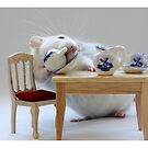 Coffee-time! by Ellen van Deelen