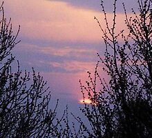 Tomorrows promise by anaisnais