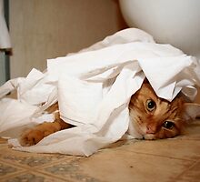 Caught in the Act by DebbieCHayes