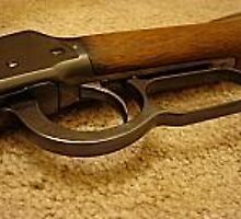 Winchester 1898 by Candy Anne Anguiano