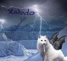 Xatodo by pkuhn
