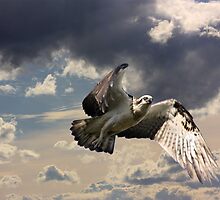 The Warning by byronbackyard