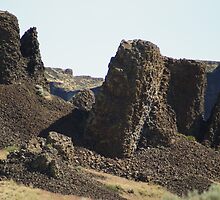 Sun Lakes-Dry Falls State Park by Loisb