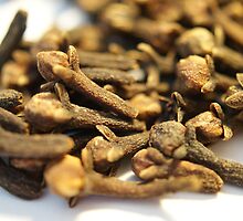 Cloves by Sandra Cockayne