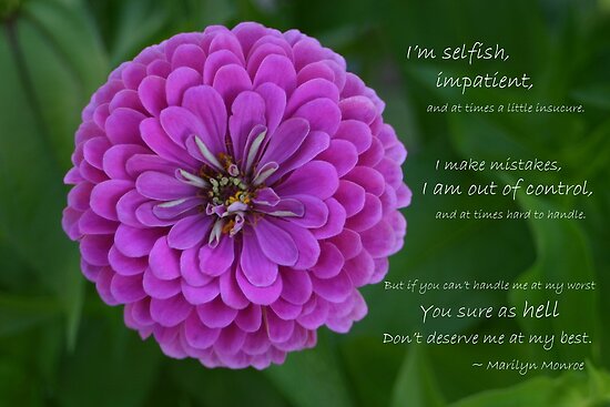 Purple Flowers Quotes. QuotesGram