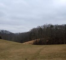 Perfect Landscape by trisha22