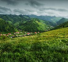A small village in the valley, Romania by Antanas