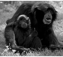 Hope & Despair by Mark Lyons