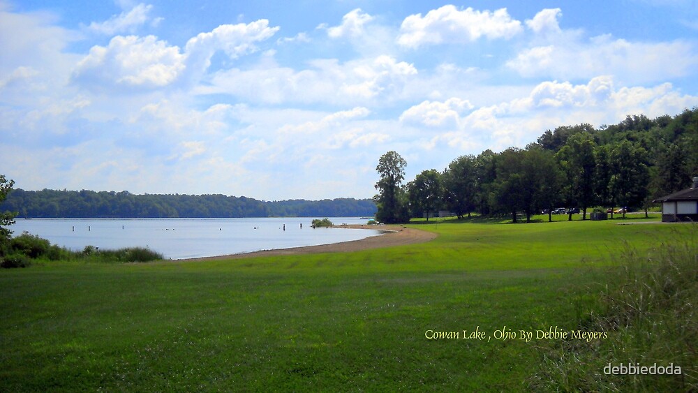 "Cowan Lake Beach, 2010" by debbiedoda Redbubble