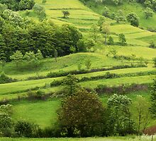 Mountain slopes, Romania by Antanas
