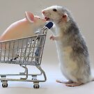 Going shopping with my friend :) by Ellen van Deelen